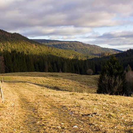 Gemuetliche Ferienwohnung - Mitten Im Schwarzwald Бернау им Шварцвалд Екстериор снимка