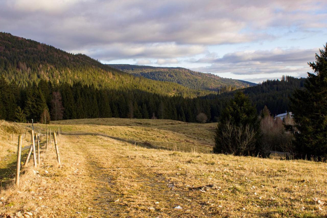 Gemuetliche Ferienwohnung - Mitten Im Schwarzwald Бернау им Шварцвалд Екстериор снимка