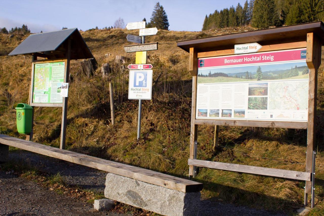 Gemuetliche Ferienwohnung - Mitten Im Schwarzwald Бернау им Шварцвалд Екстериор снимка
